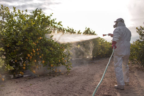 Union City, PA Pest Control Company