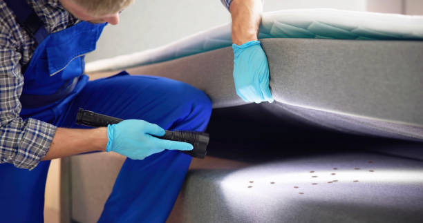Best Pest Control Near Me in Union City, PA